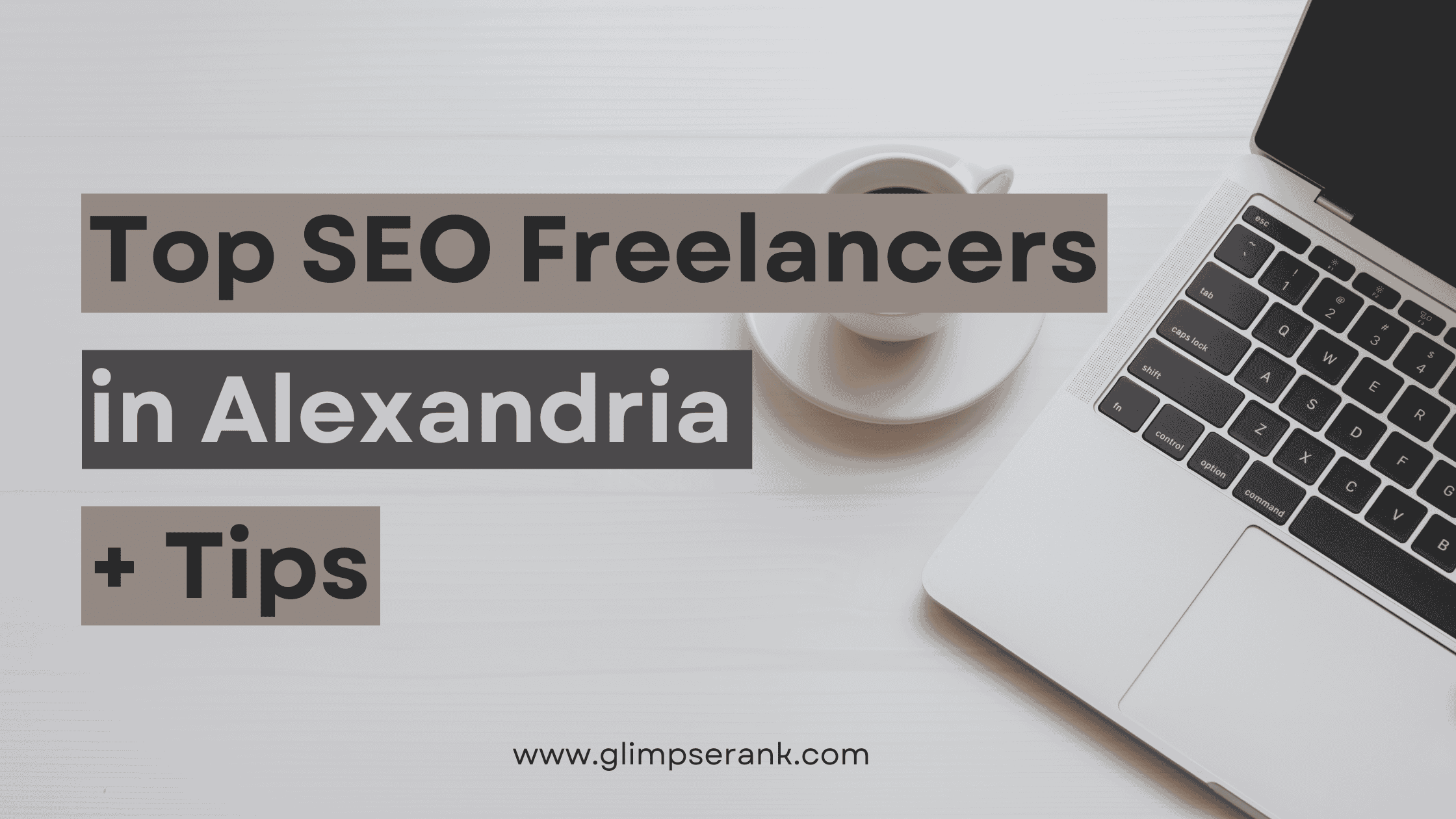 SEO in Alexandria The Top Freelancers + Tips