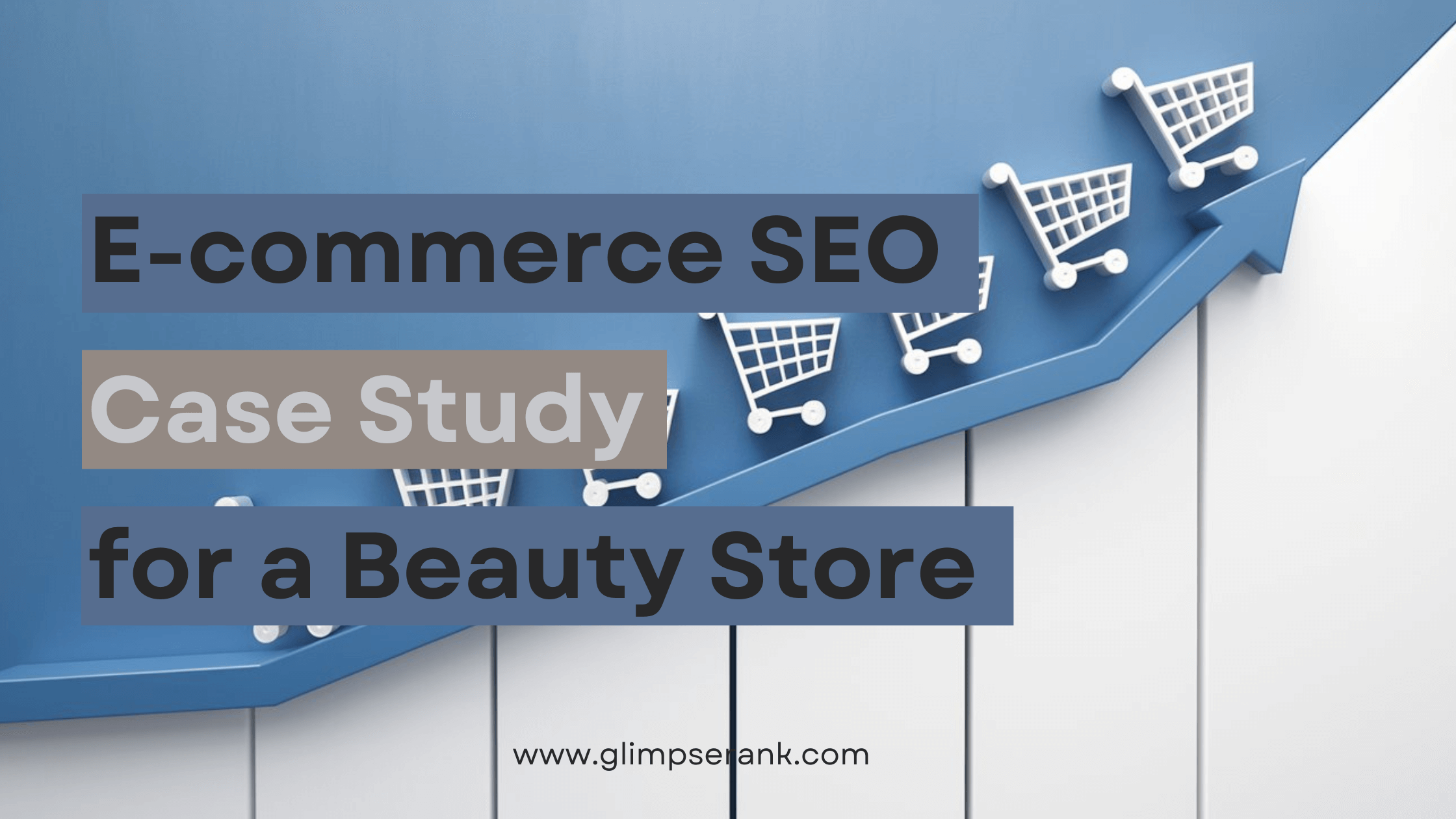 E-commerce SEO Case Study in Egypt